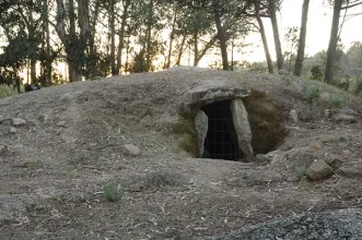 Local - Anta da Arquinha da Moira - Lajeosa do Dão| Tondela| Viseu Dão Lafões