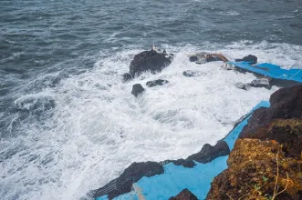 Local - Doca do Cavacas - Funchal| Região Autónoma da Madeira