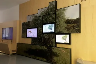 Local - Museu do Azeite - Bobadela| Oliveira do Hospital| Região de Coimbra