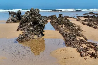 Local - Praia Monte Clérigo - Aljezur| Algarve