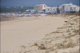 Local - Praia de Santo António - Vila Real de Santo António| Algarve