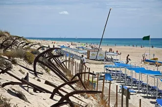 Local - Praia do Barril - Tavira| Algarve
