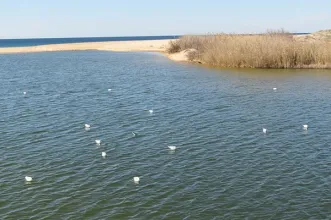 Ponto de Interesse - Praia dos Salgados - Nazaré| Oeste