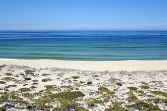 Local - Praia da Comporta - Grândola| Alentejo Litoral