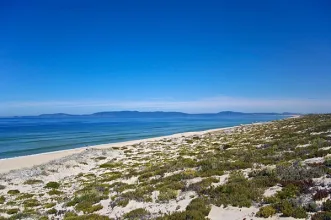 Local - Praia da Comporta - Grândola| Alentejo Litoral
