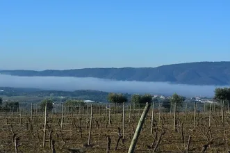 Rota - PR 1 BRB Fantástica Serra d’Ossa - Rio Moinhos