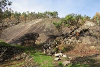 Rota - PR 23 Trilho dos Sobreiros - Carvoeiro