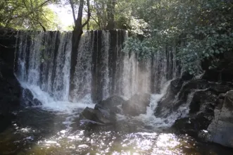 Rota - PR2 GAV Corredor Ecológico das Ribeiras de Alferreira e Barrocas - Atalaia