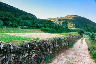 Rota - PR1 PBL Trilho dos Poios - Pousadas Vedras