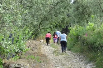 Rota - PR4 SMP - Trilho do Aguilhão - Louredo  