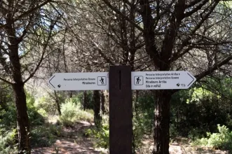 Rota - Passadiços da Mata dos Medos - 