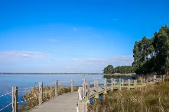 Rota - Passadiços de Aveiro  - Cais de São Roque 