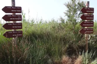 Rota - GR 99 Camino del Ebro - Etapa 3 Amposta - Tortosa - 