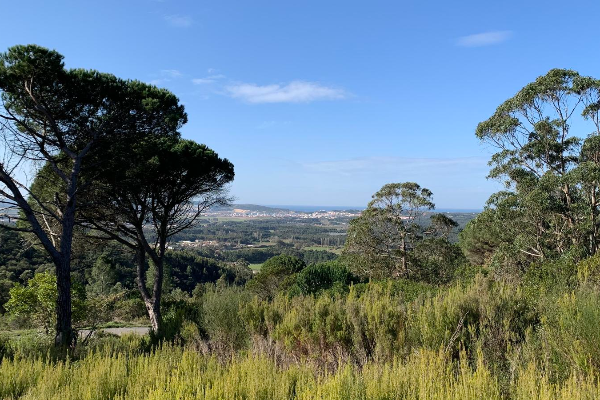 Rota - Rotas de Famalicão - Percurso das Fontes Naturais - Famalicão| Nazaré| Oeste| Portugal
