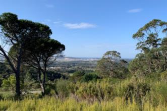 Rota - Rotas de Famalicão - Percurso das Fontes Naturais - Famalicão| Nazaré| Oeste| Portugal