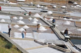 Rota - PR1 – Percurso Pedestre Marinhas de Sal - Rio Maior| Rio Maior| Lezíria do Tejo| Portugal