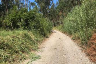 Rota - Rotas de Valado dos Frades - Monte São Bartolomeu - Lagoa do Saloio - Nazaré| Nazaré| Oeste| Portugal
