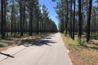 Rota - Rotas de Valado dos Frades - Monte São Bartolomeu - Lagoa do Saloio - Nazaré| Nazaré| Oeste| Portugal