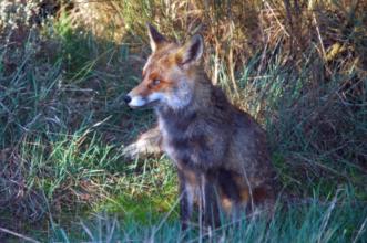 Rota - GR 34 Etapa 1 – Ermida - Cutelo - Ermida| Terras de Bouro| Cávado| Portugal