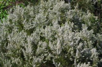 Rota - GR 34 Etapa 1 – Ermida - Cutelo - Ermida| Terras de Bouro| Cávado| Portugal