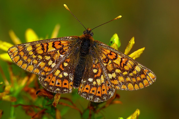 Route - PR2 MDC Trilho Ricardo Magalhães - Santa Combinha| Macedo de Cavaleiros| Terras de Trás-os-Montes| Portugal