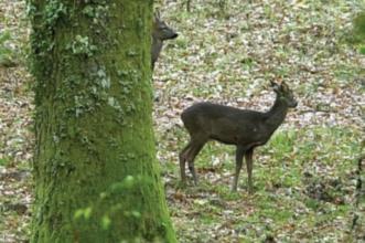 Route - GR 34 Etapa 2 – Cutelo – Vilarinho da Furna - Cutelo| Terras de Bouro| Cávado| Portugal