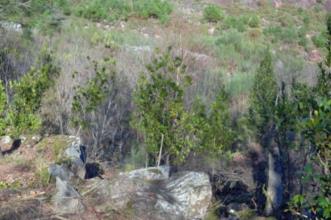 Route - GR 34 Etapa 3 – Vilarinho da Furna – Louriça - Vilarinho da Furna| Terras de Bouro| Cávado| Portugal