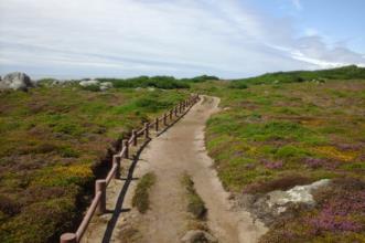 Route - PR7 Trilho Forte do Paçô - Montedor| Viana do Castelo| Alto Minho| Portugal