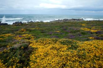 Route - PR7 Trilho Forte do Paçô - Montedor| Viana do Castelo| Alto Minho| Portugal