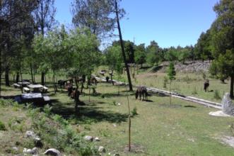 Route - PR 8 Trilho da Chão de Carreço - Carreço| Viana do Castelo| Alto Minho| Portugal