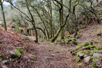 Rota - PR 23 Trilho dos Sobreiros - Carvoeiro| Viana do Castelo| Alto Minho| Portugal