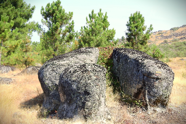 Rota - PR1 VNH Fragas do Pinheiro - Pinheiro Novo| Vinhais| Terras de Trás-os-Montes| Portugal