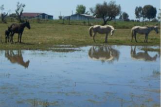 Rota - Pela Planície Alentejana - Cuba| Cuba| Baixo Alentejo| Portugal
