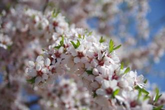 Rota - Rota da Malhadinha - Ligares| Freixo de Espada À Cinta| Douro| Portugal