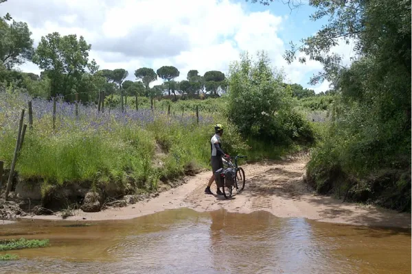 Route - Etapa 13 - Caminhos de Santiago - Vendas Novas| Coruche| Lezíria do Tejo| Portugal