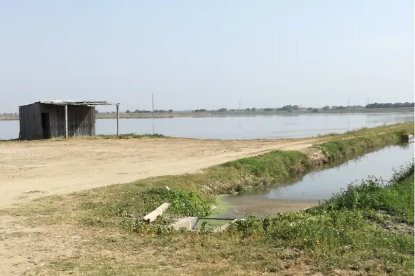 Route - Etapa 14 – Caminhos de Santiago - Branca| Coruche| Lezíria do Tejo| Portugal