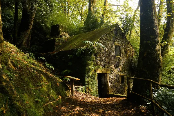 Rota - TM05 – Trilho do Caminho de Água da Gorreana - Maia| Ribeira Grande| Região Autónoma dos Açores| Portugal
