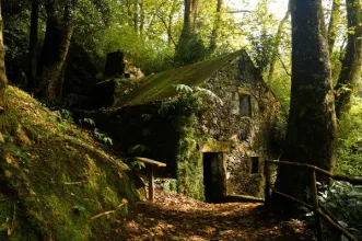 Rota - TM05 – Trilho do Caminho de Água da Gorreana - Maia| Ribeira Grande| Região Autónoma dos Açores| Portugal