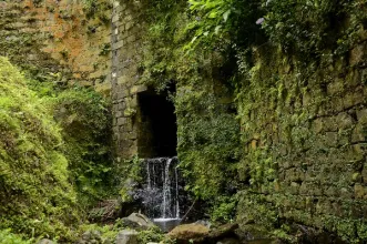 Rota - TM04 – Trilho Ladeira da Velha - Porto Formoso| Ribeira Grande| Região Autónoma dos Açores| Portugal