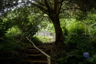 Rota - TM04 – Trilho Ladeira da Velha - Porto Formoso| Ribeira Grande| Região Autónoma dos Açores| Portugal