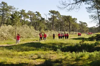 Rota - Percurso da Mata de VRSA + Saúde - Vila Real de Santo António| Vila Real de Santo António| Algarve| Portugal