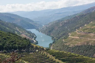 Rota - PR2 AMM-TRC Douro e Cister - Folgosa| Armamar| Douro| Portugal