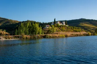 Rota - PR2 AMM-TRC Douro e Cister - Folgosa| Armamar| Douro| Portugal