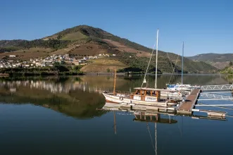 Rota - PR2 AMM-TRC Douro e Cister - Folgosa| Armamar| Douro| Portugal