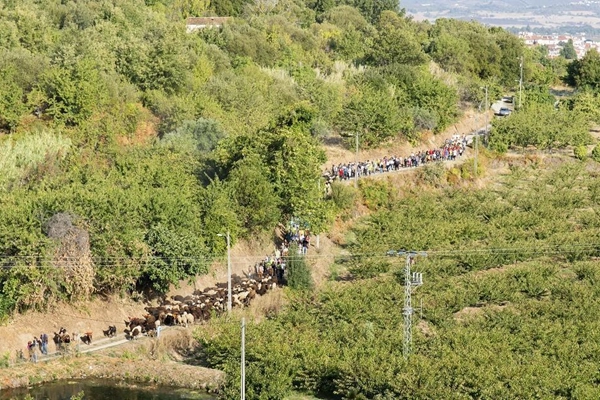 Rota - PR6 FND Rota da Portela da Gardunha - Alcaide| Fundão| Beiras e Serra da Estrela| Portugal