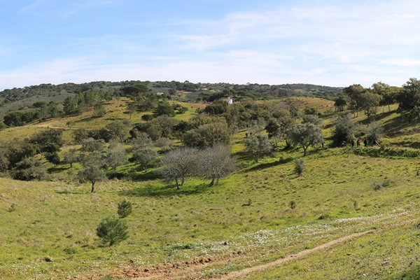 Rota - PR2 GDL - Vereda de Melides - Melides| Grândola| Alentejo Litoral| Portugal