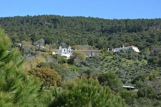 Rota - PR4 RRD Eremitas da Serra d’Ossa - Aldeia da Serra| Redondo| Alentejo Central| Portugal