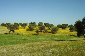 Route - PR 1 SRP – Trilho da Azenha da Ordem - Serpa| Baixo Alentejo| Portugal