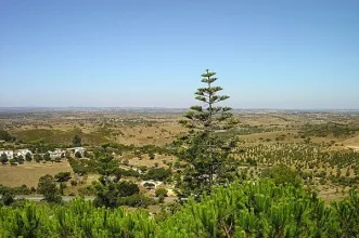 Route - PR1 ORQ Montes e Vales de Santana da Serra - Santana da Serra| Ourique| Baixo Alentejo| Portugal