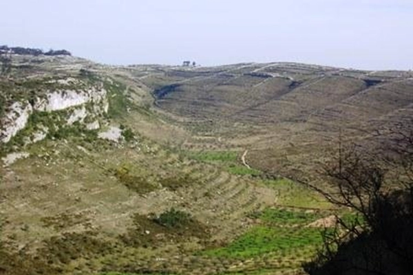 Rota - PR03 - Castelejo, Alvados e São Bento - São Bento| Porto de Mós| Região de Leiria| Portugal